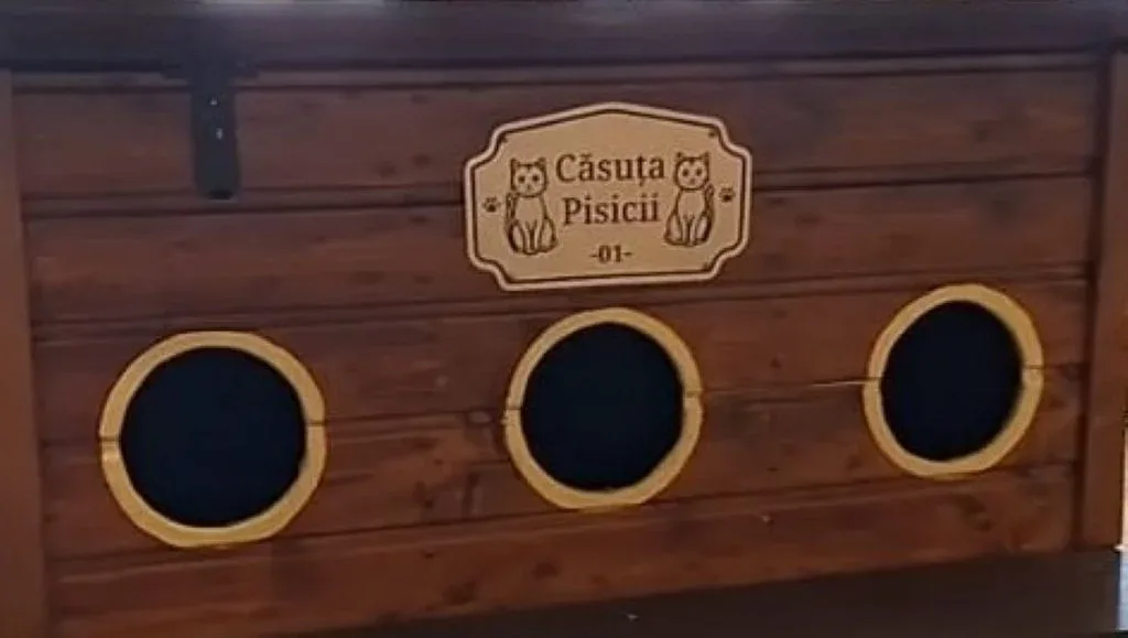 Căsuțe pentru pisici, puse la dispoziția asociațiilor de proprietari din municipiu