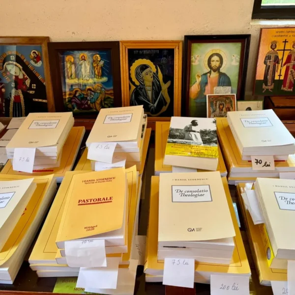 APRECIERI, părinte DANIIL STOENESCU
