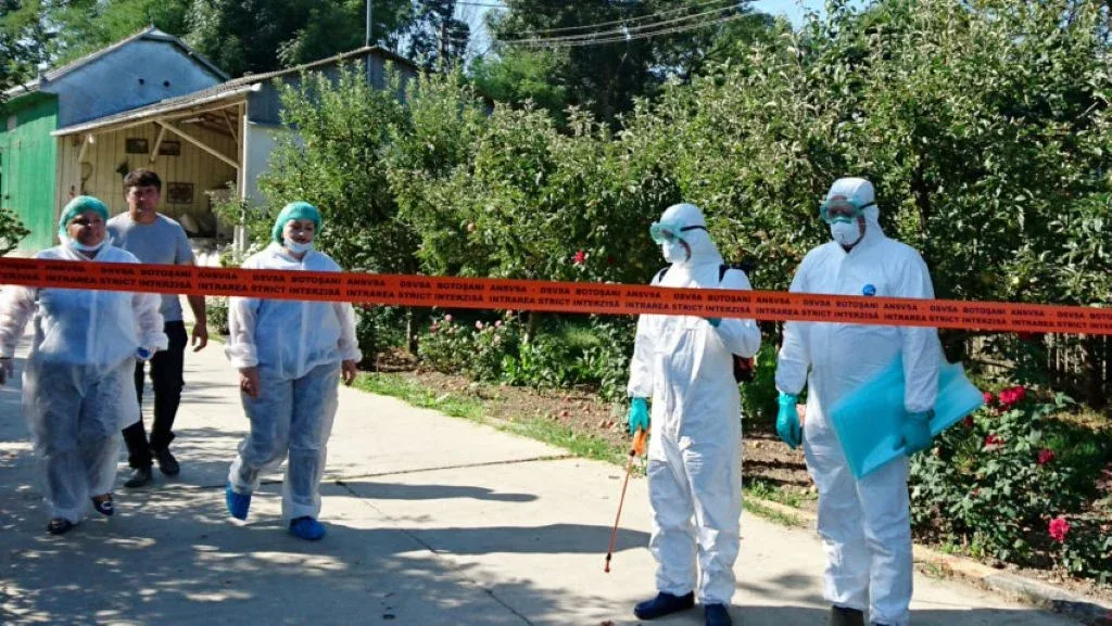 Focarul de la giulvăz | cj timiș plătește incinerarea oilor 1 alerta dsvsa 850x479 1