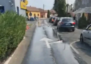 La ineu este apă și pentru udat străzile - la bocsig, nici pentru oameni! 3 apa - ineu