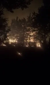 Căpâlnaș - incendiu