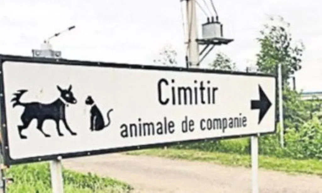 Clujenii vor avea un cimitir pentru animalele de companie 1 cimitir animale