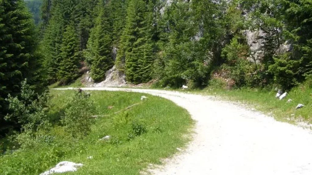Dn 66a, drumul care leagă valea jiului de herculane - un proiect blocat de două decenii 1 drum herculane