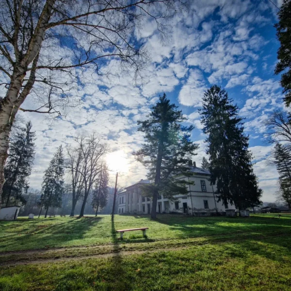 foto castelul Salbek