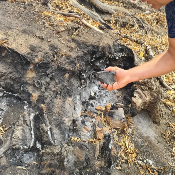 Incendiul subteran din Parcul Natural Lunca Mureșului continuă să fie activ | Prefectul Mihai Pașca: „Există posibilitatea să avem de a face inclusiv cu deșeuri îngropate de mai mult timp și acum emană gaze”