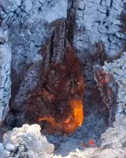 Incendiul subteran din Parcul Natural Lunca Mureșului continuă să fie activ | Prefectul Mihai Pașca: „Există posibilitatea să avem de a face inclusiv cu deșeuri îngropate de mai mult timp și acum emană gaze”