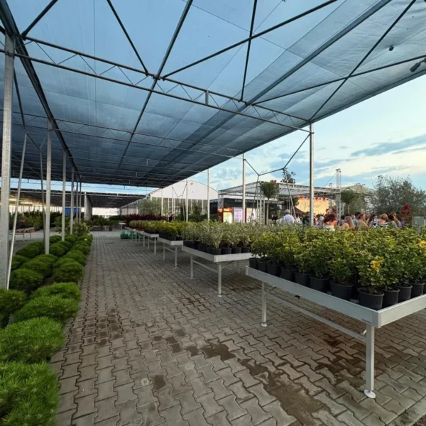 landisa valsuri 2