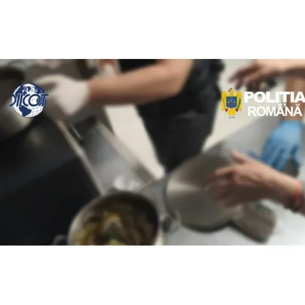 Trafic internațional de droguri „pentru intelectuali” | S-au adunat la Pensiunea Dacilor ca să se reconecteze cu sinele și s-au conectat cu poliția