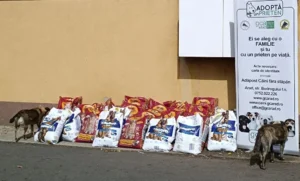 PET-urile colectate prin munca în folosul comunității, transformate în hrană pentru câinii din Adăpostul Public Arad