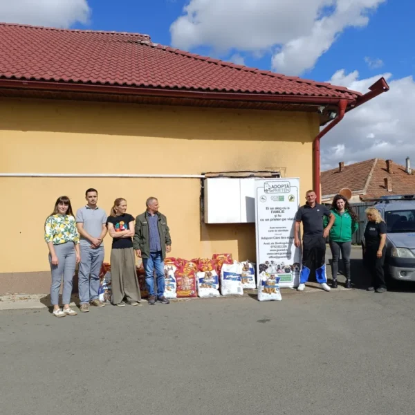 PET-urile colectate prin munca în folosul comunității, transformate în hrană pentru câinii din Adăpostul Public Arad