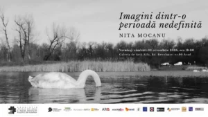 nita mocanu