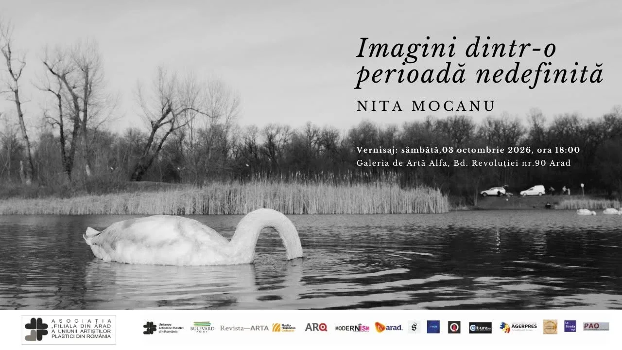 nita mocanu