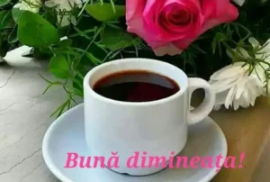 BUNĂ DIMINEAȚA, VECINE! (despre cetățenia europeană)