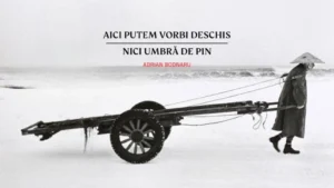 [CARTEA SĂPTĂMÂNII] Adrian Bodnaru: „Aici putem vorbi deschis – nici umbră de pin”