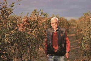 Gheorghe Cosma