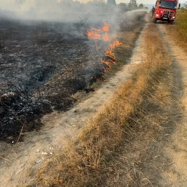 23 de situații de urgență au fost gestionate de pompierii arădeni în ultimele 24 de ore