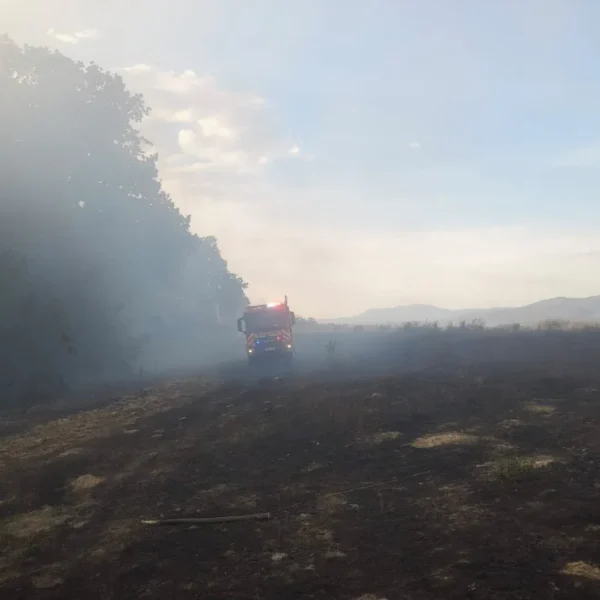 23 de situații de urgență au fost gestionate de pompierii arădeni în ultimele 24 de ore