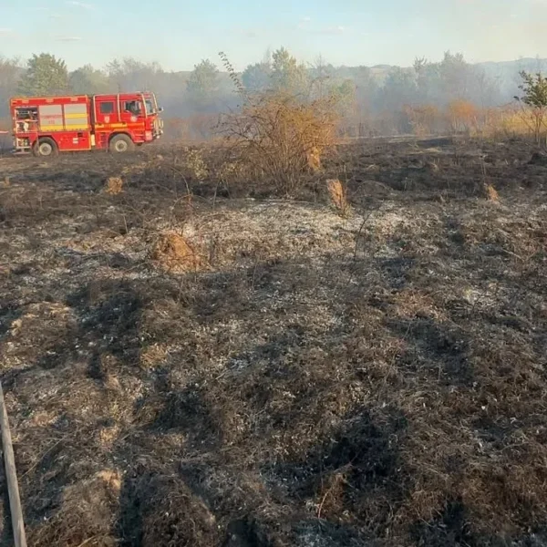 23 de situații de urgență au fost gestionate de pompierii arădeni în ultimele 24 de ore