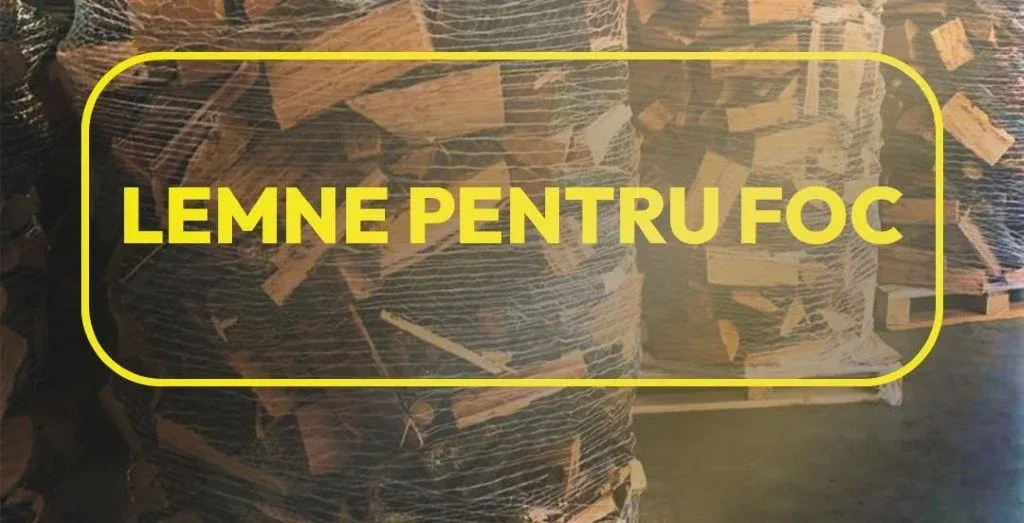 Romsilva pune la dispoziția populației aproximativ 2 milioane de metri cubi de lemn pentru foc în 2026, la prețuri similare celor de anul trecut