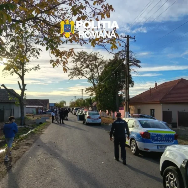 Aradul - în buletinul de presă al Poliției | Razii, infracțiuni silvice și rutiere, agresiune într-un parc din Vlaicu, violență domestică și nereguli privind utilizarea caselor de marcat