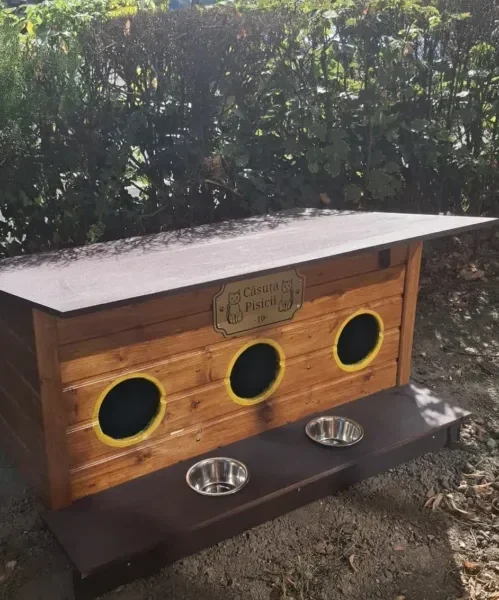 20 de căsuțe pentru pisicile comunitare au fost amplasate în municipiu | Bibarț: „Ne dorim ca această inițiativă să continue să se dezvolte”