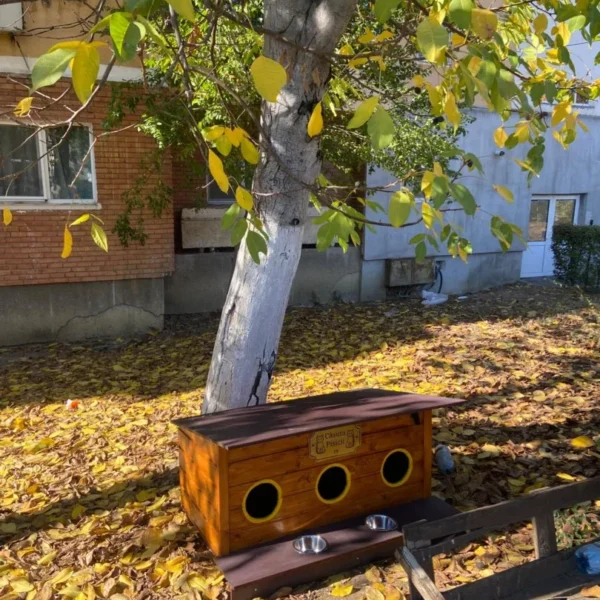 20 de căsuțe pentru pisicile comunitare au fost amplasate în municipiu | Bibarț: „Ne dorim ca această inițiativă să continue să se dezvolte”